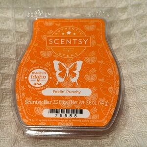 Feelin’ Punchy Scentsy Bar